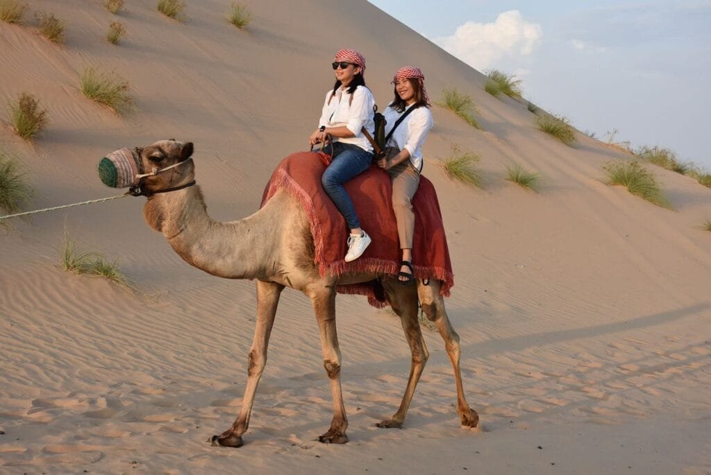 morning desert safari